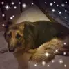 brianlenoir632 - @brianlenoir632 - TikTok