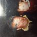 Bryan Lenoir - Facebook