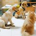 Brian Leong - Facebook