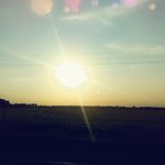 Brian Letterman - @wickedpanda2.0 - Instagram