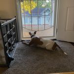 Brian Letterman - @steebbrian123 - Instagram