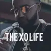 brianletterman5 - @brianletterman5 - TikTok