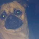 Brian Leverett - @brianleverett - Instagram