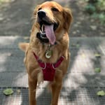 Brian Leverett - @warrior16701690 - Instagram