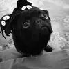 Brian Leverett - @brianleverett - TikTok