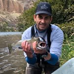 Brian Light - @blight_onthefly - Instagram