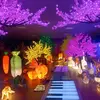 BrianLedtreelight - @brianxiao2 - TikTok