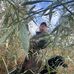 Brian Lingle - Facebook