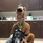Brian Loftus - @drbrianloftus - Instagram