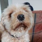 Brian loftus - @brian_loftus_ - Instagram