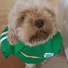 Brian Loftus - @brian_loftus09 - TikTok