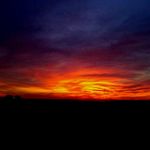 Brian Lombard - @brianlombard670 - Instagram