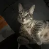 Brian long - @brianlong00 - TikTok