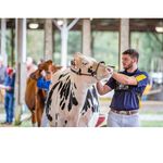 Brian long - @brian.long - Instagram