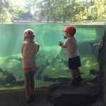 Brian Look - @brian_look23 - Instagram