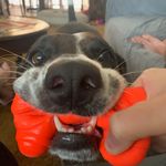 Brian Lorenz - @brian.lorenz.311 - Instagram