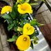 Brian Lucy - Facebook