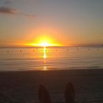 Brian Luff - @brian.luff - Instagram