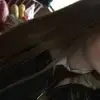 briana_luff - @briana_luff - TikTok