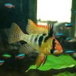 @brianlumpkins2363 - Instagram