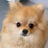 Brian Lunding - @brian.lunding - TikTok
