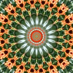 Brian Lundy - @brian_lundy_dir_of_photog - Instagram