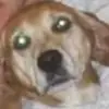 brianmluszik349 - @brianmluszik349 - TikTok