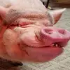 Brian Ma - @brian.maa - TikTok
