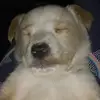 Brian MA - @brianma6 - TikTok