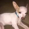 Brian_ - @brian_macedo - TikTok