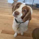 Brian Mackewich - @brianmackewich - Instagram