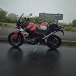 Brian Maczko - @polar_bear_007 - Instagram