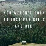 Brian Madison - @brianmadison0 - Instagram