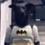 Brian madison - @monkey_boy123412478 - Instagram