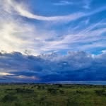 Brian James Kamaira - @briankamaira - Instagram
