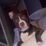 Brian Malcolm - @brianmalcolm1 - Instagram