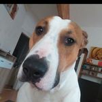 Brian Mangels - @mangelsbrian10 - Instagram