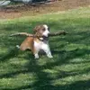 Brian Mangels - @brian.mangels - TikTok
