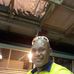 Brian Mara - Facebook