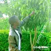 ~benda~ - @brianmarion981 - TikTok