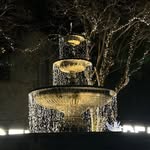 Brian Marion - @brianmarion - Instagram