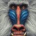 Bryan Markel - Facebook