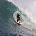 Brian Marrocco - @brianmarrocco - Instagram