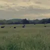 Brian Marriott929 - @keepinitwestern - TikTok