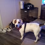 Brian Martensen - Facebook