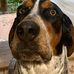 Brian Martindale - Facebook