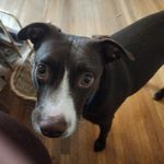 Brian Martinson - @martinson2776 - Instagram