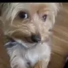 brian - @brian_master5 - TikTok