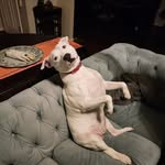 Brian Masterson - @thebrianmasterson - Instagram