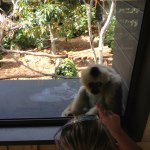 Brian Masterson - @brianemasterson - Instagram